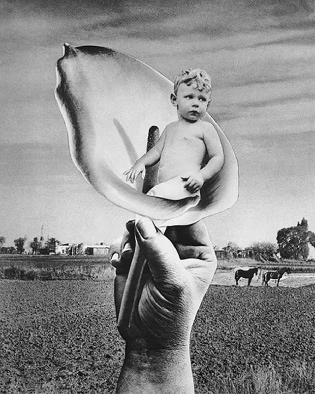 Grete Stern_galeria_01